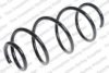 VW 1S0411105A Coil Spring